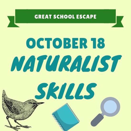 October 18: Naturalist Skills