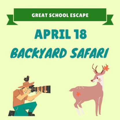 Picture of April 18: Backyard Safari