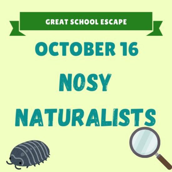 Picture of October 16: Nosy Naturalists
