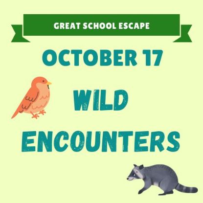 Picture of October 17: Wild Encounters