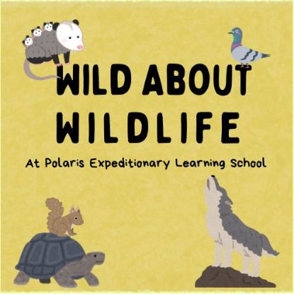 Picture of Wild About Wildlife at Polaris Fall 2025