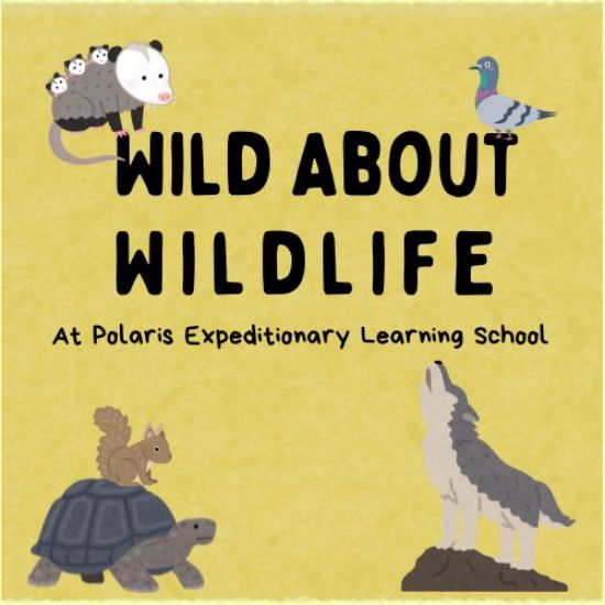 Picture of Wild About Wildlife at Polaris Fall 2025