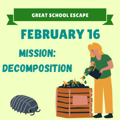 Picture of February 16th- Mission: Decomposition