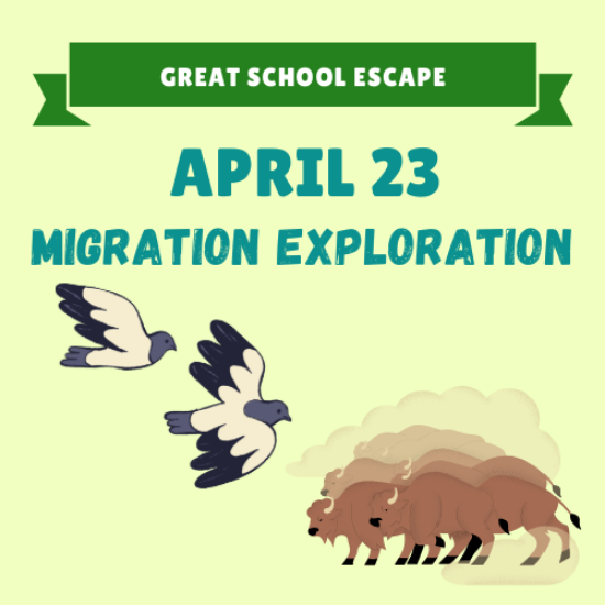 Picture of April 23rd- Migration Exploration