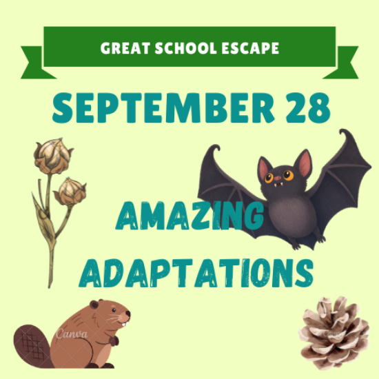 Picture of September 28: Amazing Adaptations