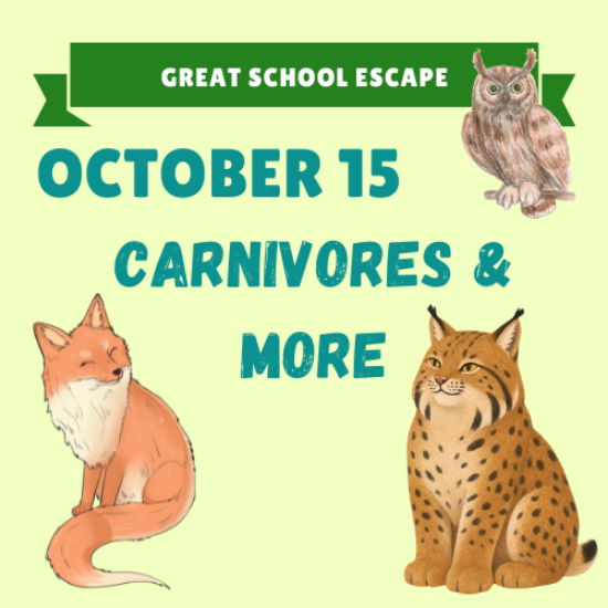 Picture of October 15: Carnivores and More